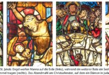 Empor gehoben ins Licht